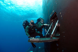 Российский подводный спецназ схлестнулся под водой с неизвестными трёхметровыми пришельцами