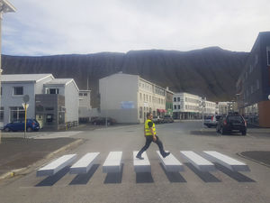 В Исландии нарисовали "умную" 3D-зебру 
