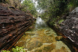 Волшебная река Каньо Кристалес | Мир путешествий