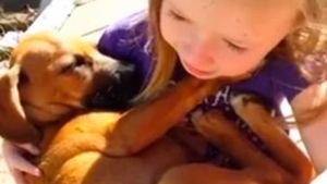 Маленькая девочка начала петь спасённому щенку колыбельную