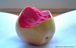САД, ЦВЕТНИК И ОГОРОД. Необычный сорт яблок Розовый жемчуг