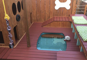 Американец построил игровую площадку с бассейном для своих собак