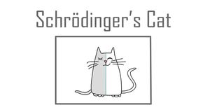 Кот Шрёдингера: мысленный эксперимент квантовой механики