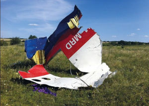 Рассекречивание документов по MH17 станет «смертным приговором» для Запада