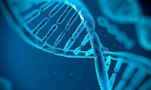 Учёные впервые отредактировали геном непосредственно внутри живого человека
