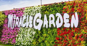 Парк цветов Dubai Miracle Garden | Мир путешествий