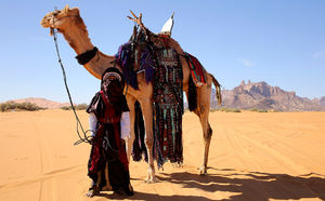 Богатая Россия возобновит гуманитарную помощь  тубу и туарегов, в том числе в оазисе Убари!