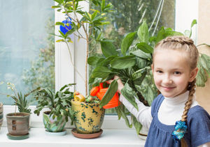 12 лучших растений для детской комнаты