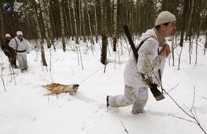 Охота на волков в Чернобыле