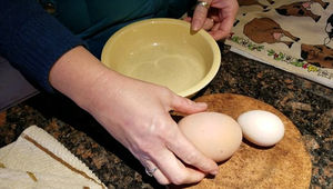 Курица снесла необычно большое яйцо!