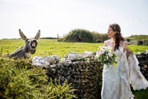 Свадебные фотобомбы с животными (11 фото)
