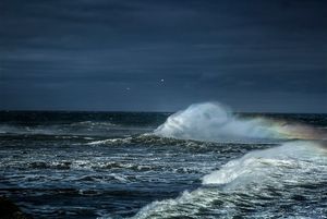ФОТОВЫСТАВКА. Dalton Portella: океан во время шторма