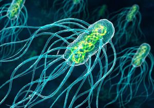 Бактерий смогли превратить в нанороботов