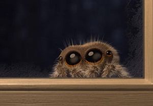 Lucas the Spider — новое видео с очаровательным паучком Лукасом, которое избавит вас от арахнофобии