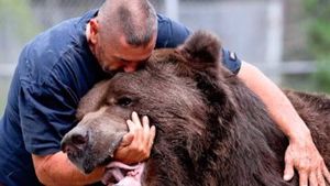 Мужчина, который помогает медведям, отсутствовал несколько недель и вот, как они его встретили!