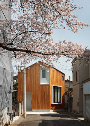 Японский минимализм: аскетизм, красный кедр и вишня в окне