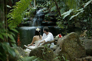 Свадьба в тропическом лесу