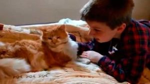 Невероятно трогательное воссоединение 11-летнего мальчика и его пропавшей кошечки!