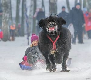 Подборка зимних моментов с детьми и собаками, которые сделают ваш день чуточку теплее!
