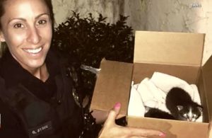 Девушка-полицейский спасла более 60 котов