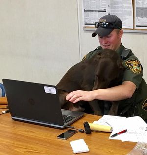 Офицеру надо было сделать совместное фото со служебным псом…