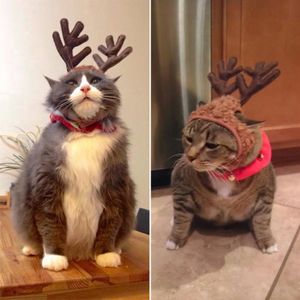 Домашние животные с оленьими рожками, полные радости и рождественского настроения (18 фото)