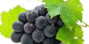 Масло виноградных косточек — применение для лица