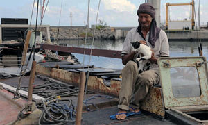 Поляк со своей кошкой 7 месяцев дрейфовали в океане