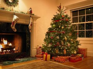 Американец получил неприятных соседей в комплекте с новогодней елкой