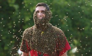 Ежегодные соревнования по пчелиной «бороде» в Канаде