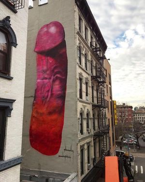 Художница нарисовала реалистичный пенис почти на всю высоту дома в Нью-Йорке, и все злятся