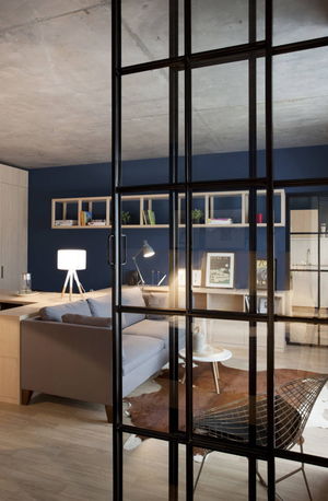 Модная квартира: кухня, гостиная, столовая и спальня на 50 метрах