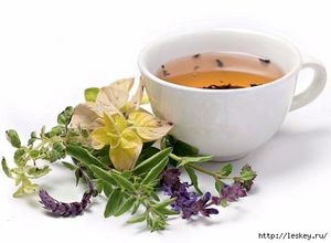 Травяные, цветочные и ягодные чаи – когда их пить и чем они полезны