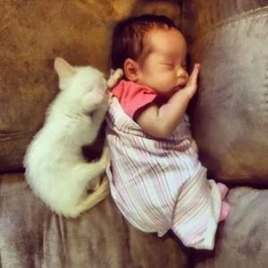 Маленькая девочка спит рядом со своей кошкой с самого первого дня знакомства