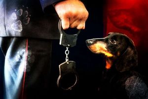 Хозяйку таксы осудили за то, что собака прикоснулась к брюкам полицейского