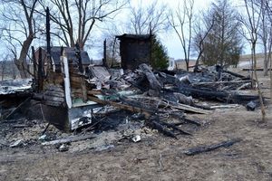Спасатели обнаружили в сгоревшем доме более 30 животных, нуждающихся в помощи