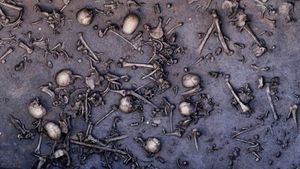 Забытая битва Бронзового века. Мумии и скелеты.