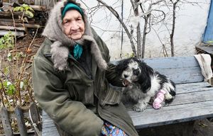 160 тысяч рублей на операцию собаке собрали неравнодушные воронежцы