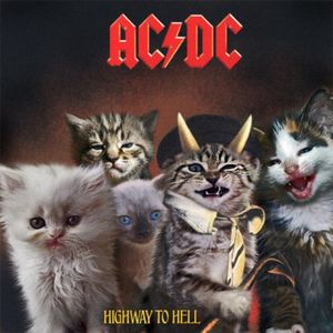 Крутые котята на обложках культовых альбомов (18 фото)