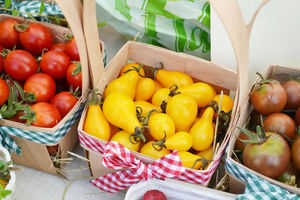 Мелкоплодные томаты: проверенные сорта