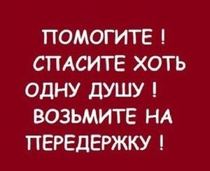 Всё это страшно и печально, нужна помощь незамедлительно!