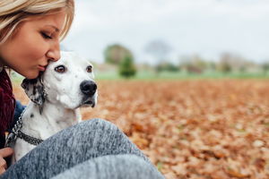 Пошаговая инструкция: как спасти жизнь собаке в 5 этапов