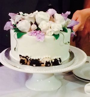 Набирающий популярность тренд: свадебные торты с домашними питомцами (16 фото)