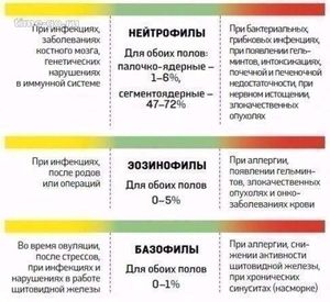 Расшифровка анализов крови.