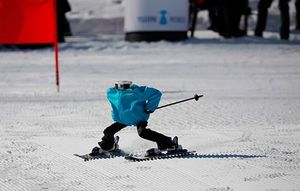 Южная Корея проводит первый в мире турнир по лыжным роботам вне Олимпийских игр