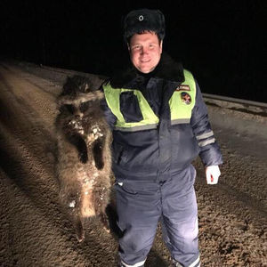 Вот так находка на дороге! В Московской области спасли енотовидную собаку, притворявшуюся мёртвой!