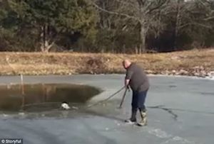 «Кто, если не я?» Полный мужчина смело ступил на тонкий лёд пруда, чтобы спасти пса!