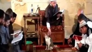 Посмотрите, что сделал имам, когда в мечеть зашла уличная кошка
