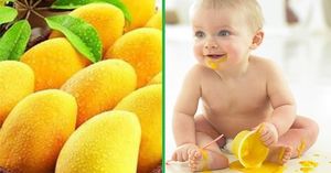 Полезные свойства манго для твоего ребенка: побалуй малыша необычным фруктом!