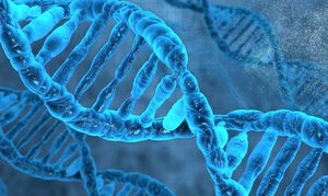 Учёные придумали новый способ хранения данных внутри ДНК